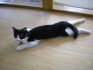 0808a.JPG