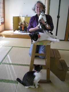 こどもの日三猫娘1.jpg