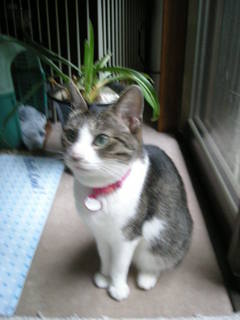 DSCN0082.JPG