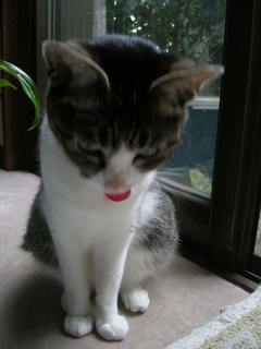DSCN0086.JPG