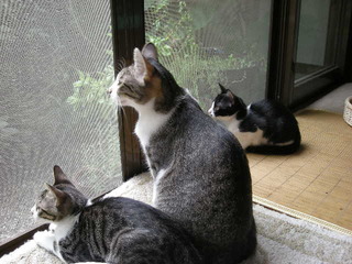 DSCN1277.JPG