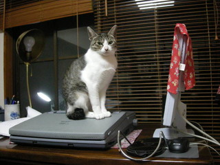DSCN2700.JPG