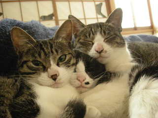 DSCN5538.JPG