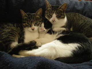 DSCN5544.JPG