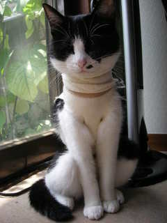 DSCN5745.JPG
