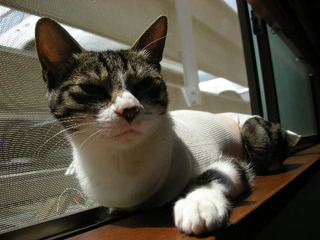 DSCN5761.JPG