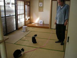 DSCN7734.JPG