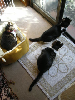 DSCN8365.JPG