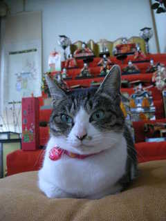 DSCN8747.JPG