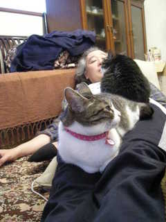 DSCN9504.JPG