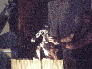 DSCN9986.JPG