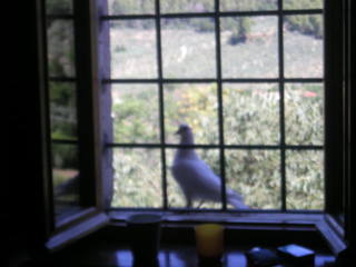 DSCN9994.JPG