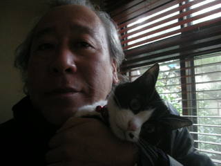 冬猫.JPG