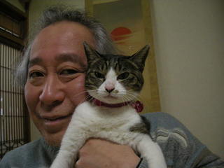 冬猫4小夏.JPG