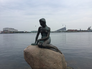 IMG_5132.JPG