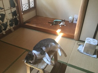 image.jpg