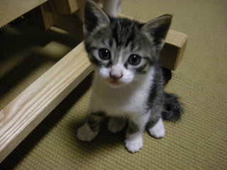 DSCN0260.JPG