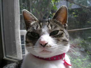 DSCN8895.JPG