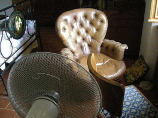 DSCN9898.JPG