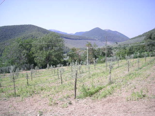 DSCN9904.JPG